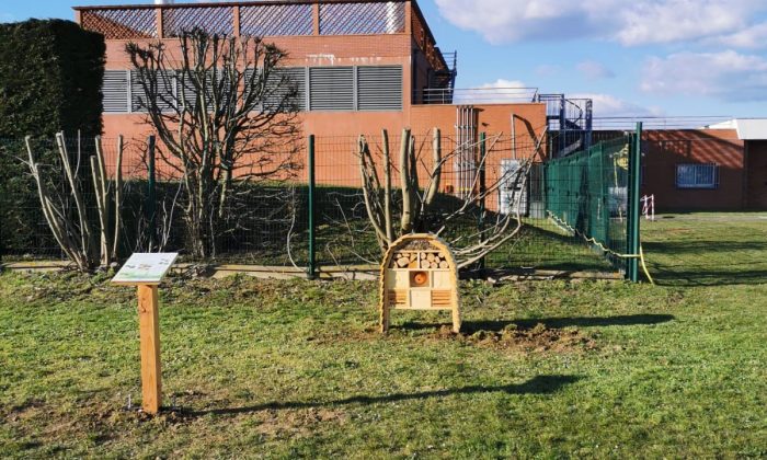 STVLBG labelisé Ecoréseau par Amorce